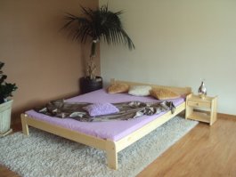 Postel Anetka 160x200 + zdravotní matrace Medical T25 + rošt