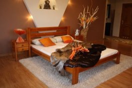 Postel Karina olše 120x200 + matrace PUR T25