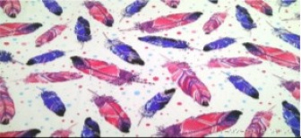 Plena potisk peříčka