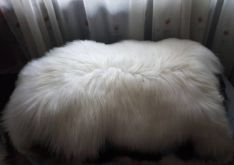 Ovčí kožešina 100% přírodní 126 - 140 cm - bílá