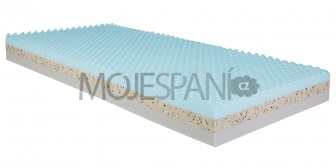 Matrace Molmat STRONG PLUS 80/200 cm s potahem